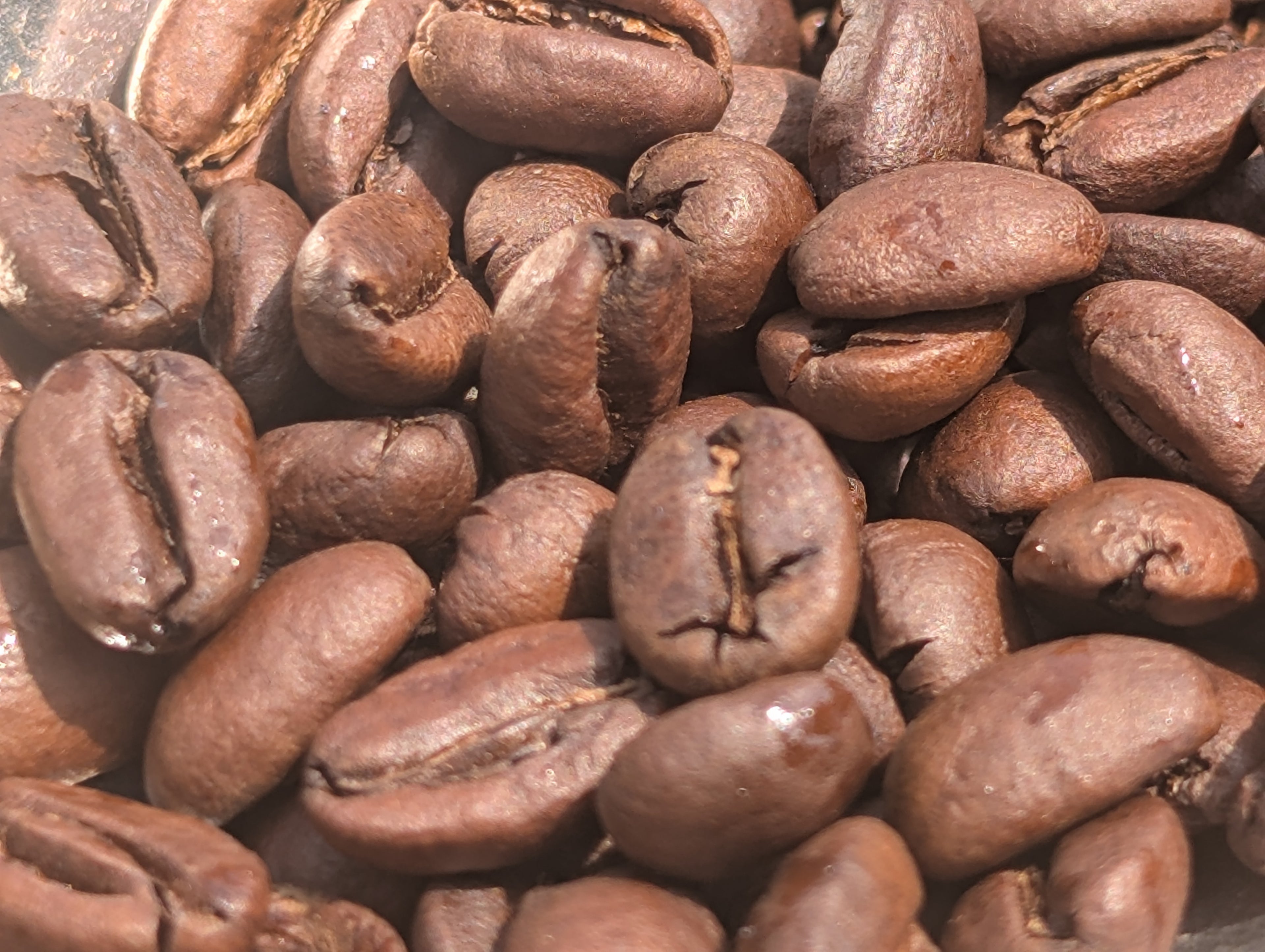 Ethiopia Yirgacheffe Adame - Light